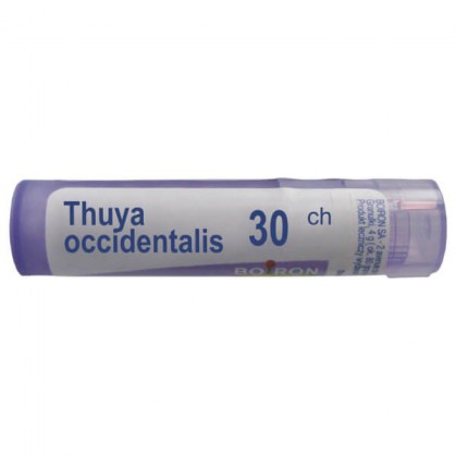 Boiron Thuya occidentalis 30 CH, granulki, 4 g